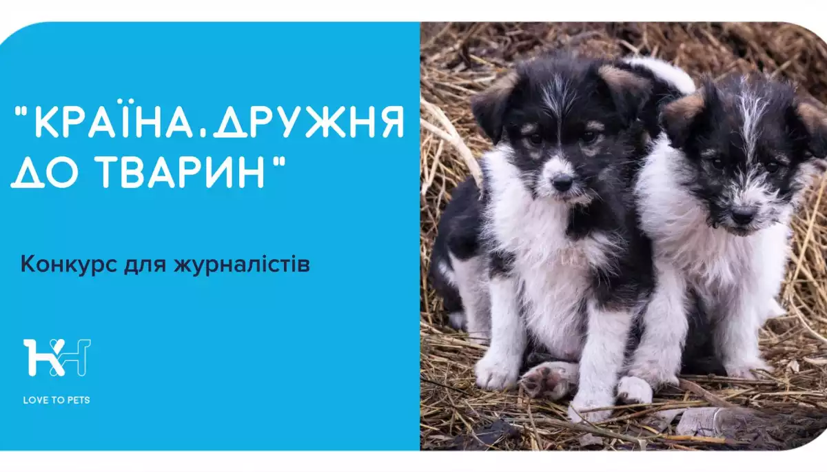До 1 вересня &mdash; реєстрація на всеукраїнський конкурс журналістських матеріалів &laquo;Країна, дружня до тварин&raquo;