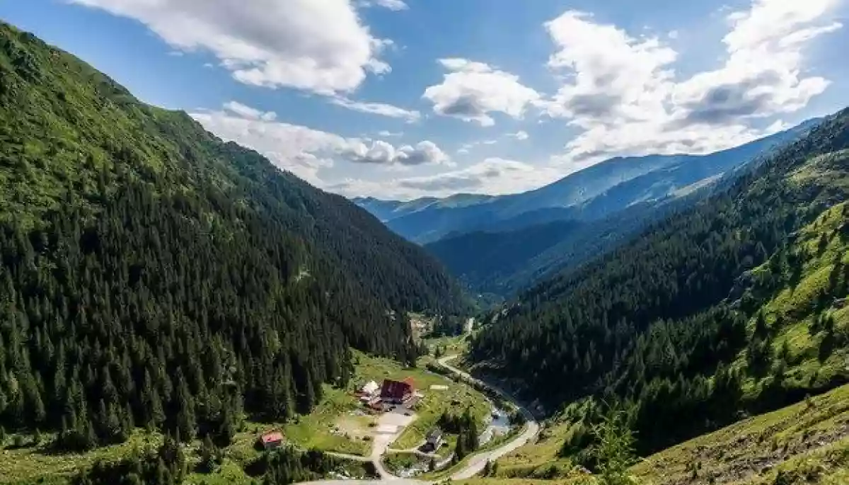 Буковель — не тільки лижі та засніжені схили Буковель — не тільки лижі та засніжені схили