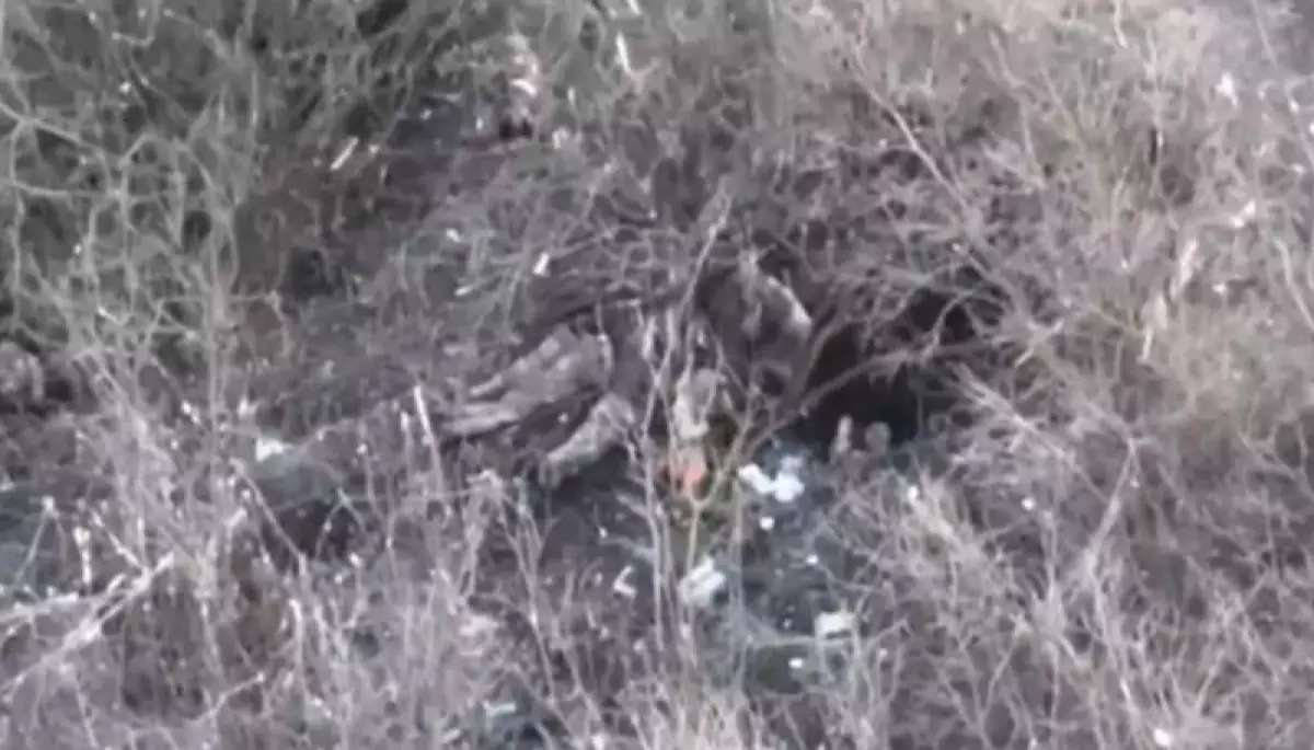 Прокуратура почала розслідування розстрілу українських полонених біля Бахмута