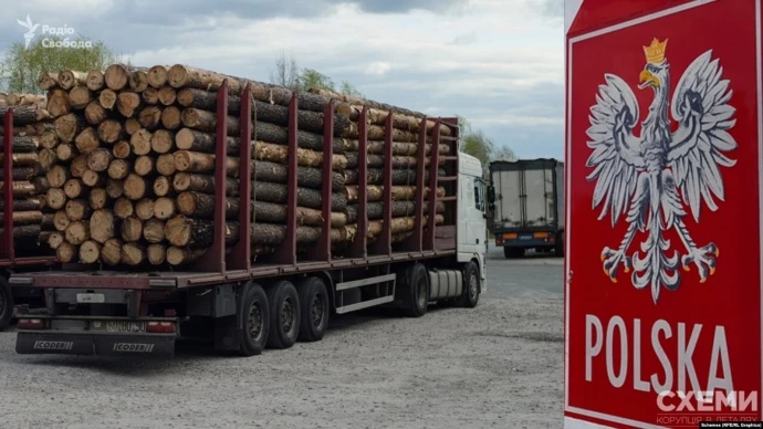 Розслідування: Підсанкційну деревину з Білорусі ввозять до ЄС через Польщу за фейковими документами