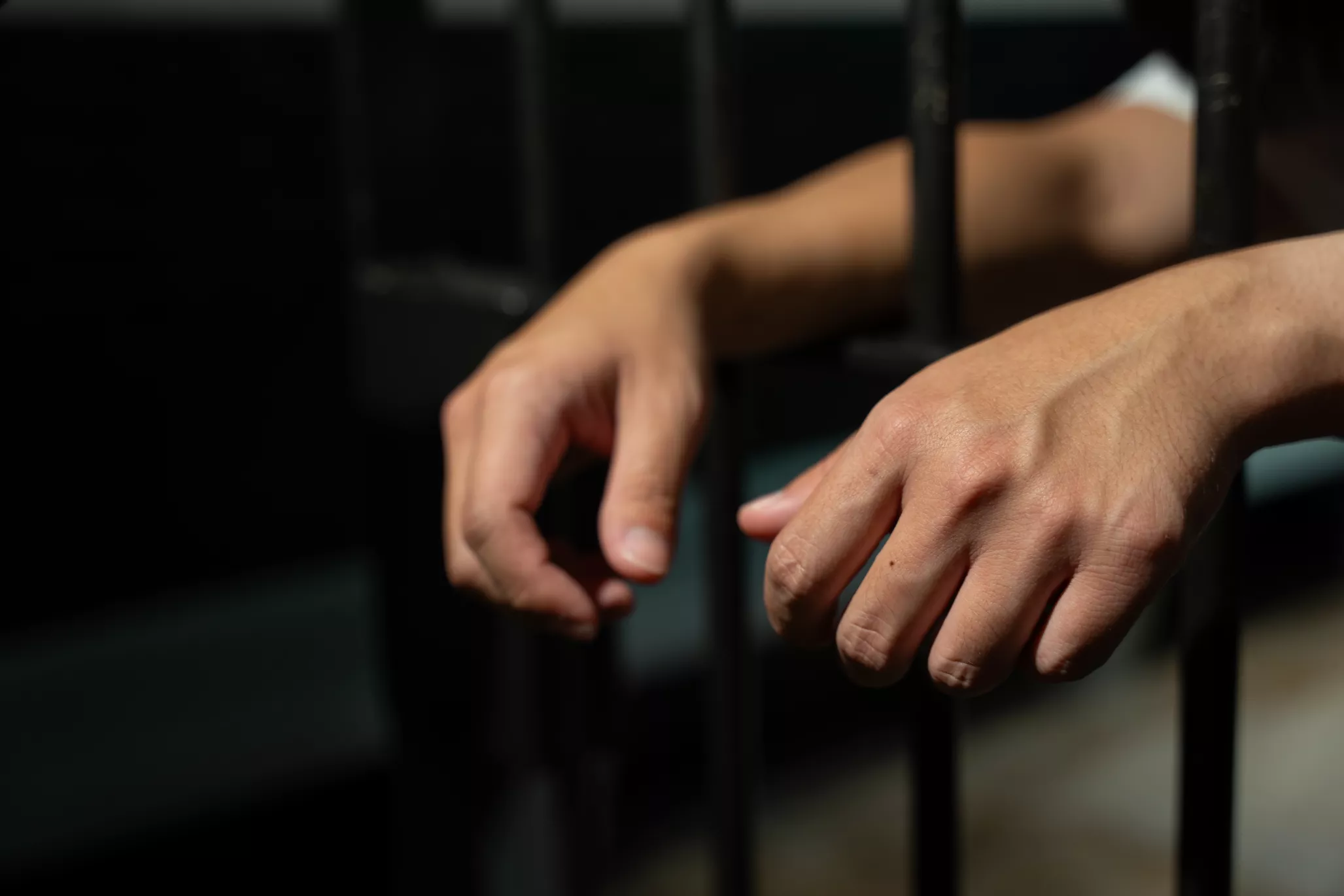 В Естонії арештували медійницю через співпрацю з російськими пропагандистськими ЗМІ