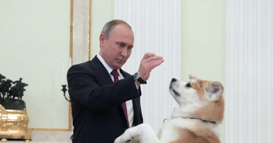 Що веде кремлівську собаку «українським слідом»: дайджест пропаганди за 3 квітня