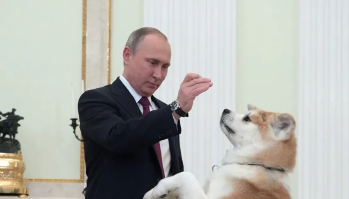 Що веде кремлівську собаку «українським слідом»: дайджест пропаганди за 3 квітня