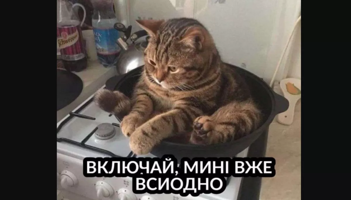 У мережі відреагували мемами на інцидент між &laquo;Забороною&raquo; та Клопотенком