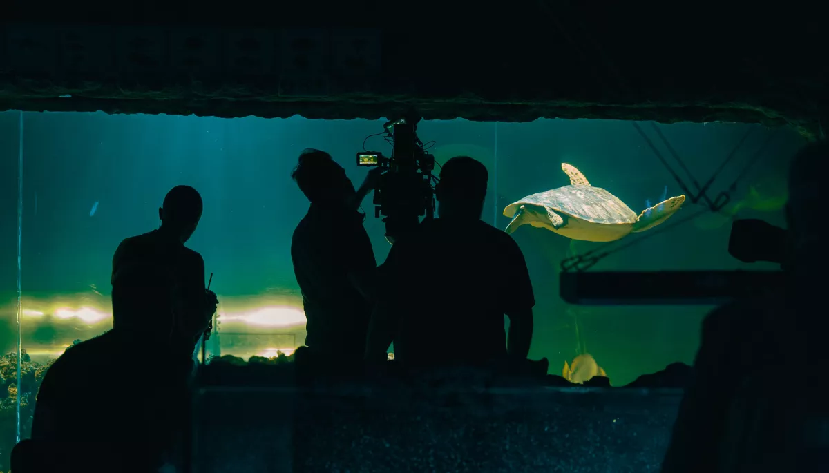 В Києві завершили зйомки ще одної новели кіноальманаху «Війна очима тварин» — про риб