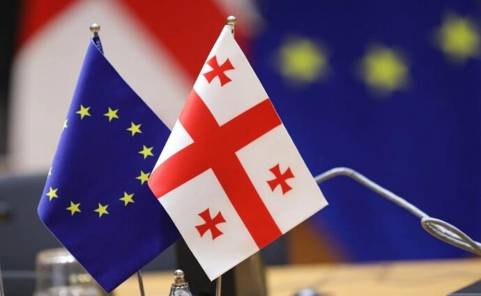 ПАРЄ та Європейська рада занепокоєні законом про «іноагентів» та залякуванням журналістів у Грузії
