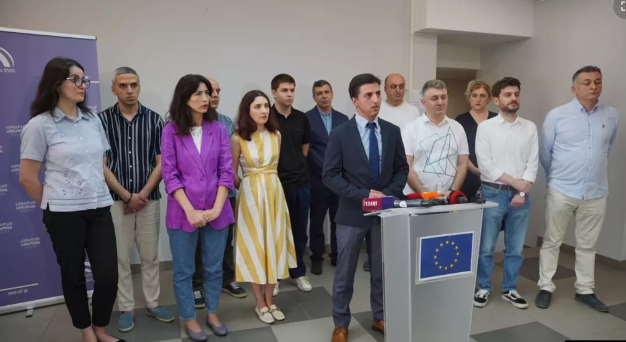 У Грузії понад 100 неурядових організацій оскаржать закон про &laquo;іноагентів&raquo; в Конституційному суді