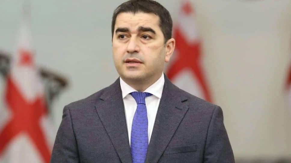 Спікер парламенту Грузії підписав закони проти &laquo;ЛГБТ-пропаганди&raquo;