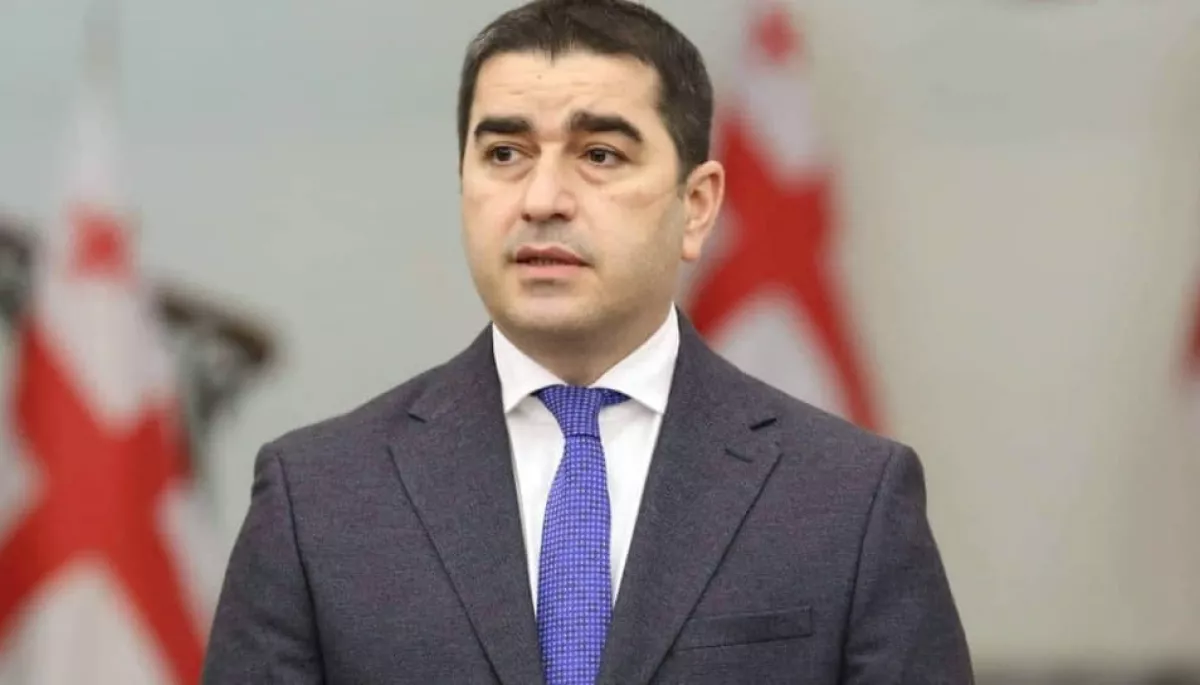 Спікер парламенту Грузії підписав закони проти &laquo;ЛГБТ-пропаганди&raquo;