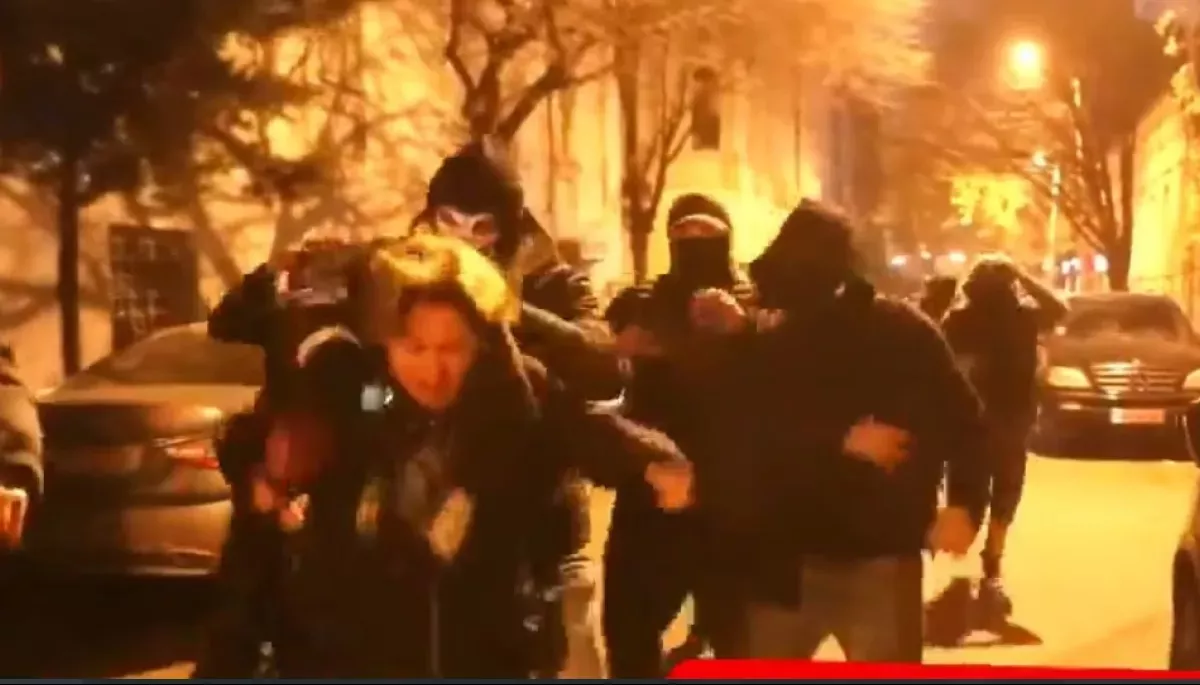 Під час протестів у Грузії силовики завдали шкоди понад 70 журналістам, &mdash; медіаомбудсман Грузії