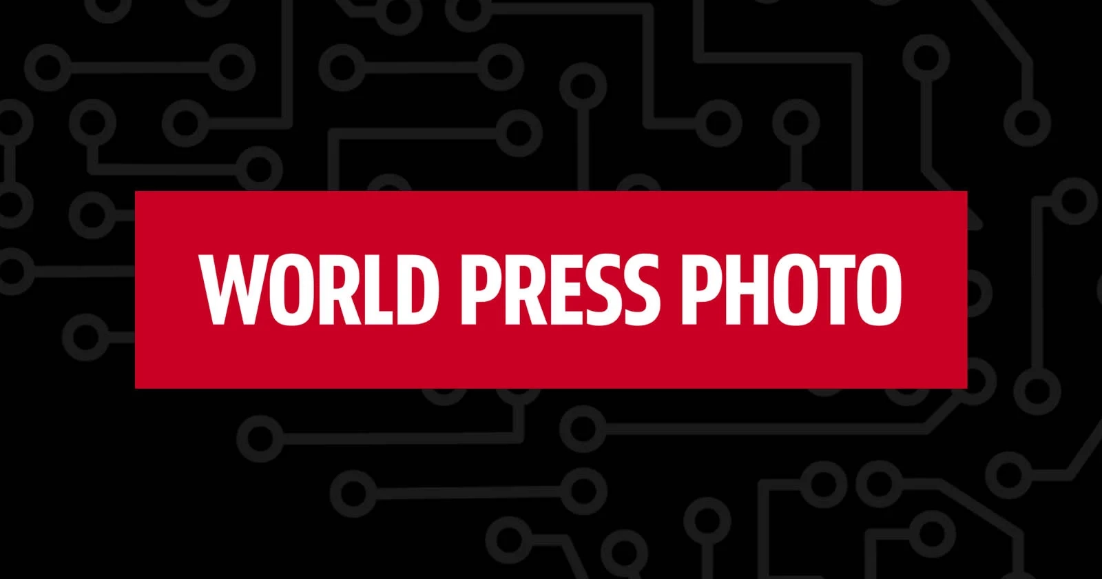 Переможцем World Press Photo 2025 став знімок палестинської фотожурналістки