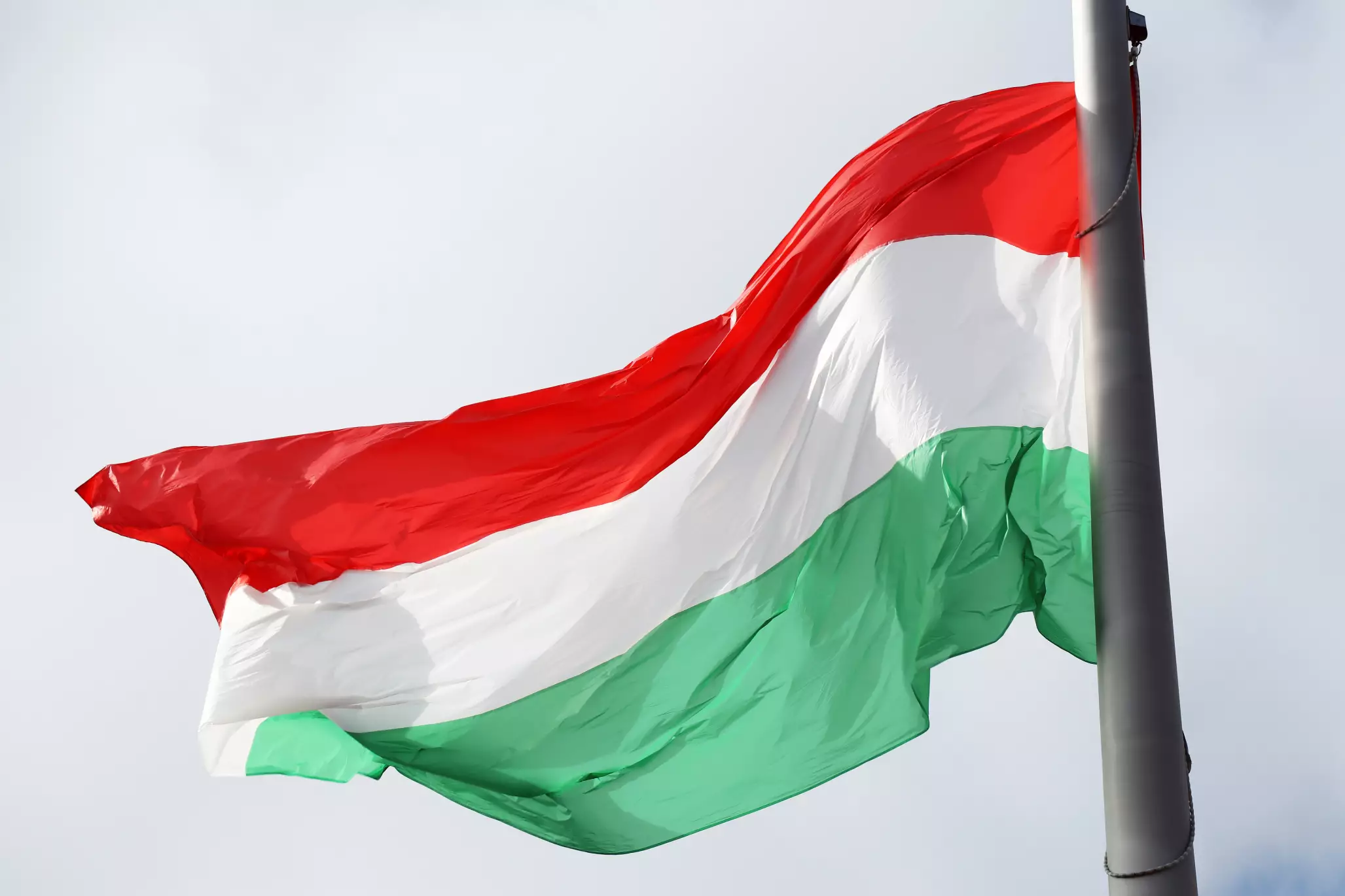 85 редакторів європейських медіа засудили намір Угорщини ухвалити закон, що обмежує роботу незалежних ГО та медіа