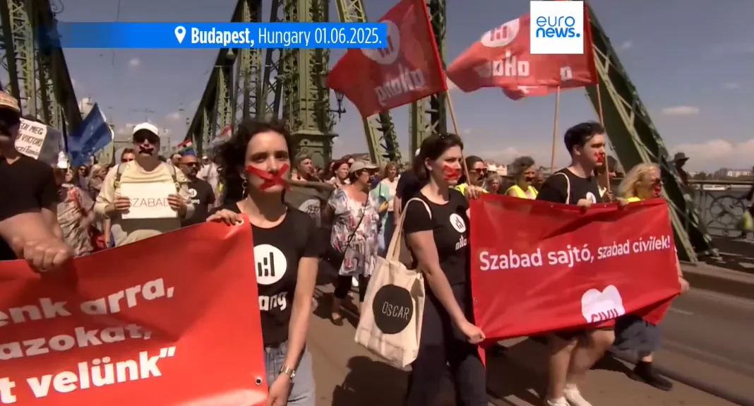 Угорці вийшли на протест проти обмежень для медіа та неурядових організацій у країні