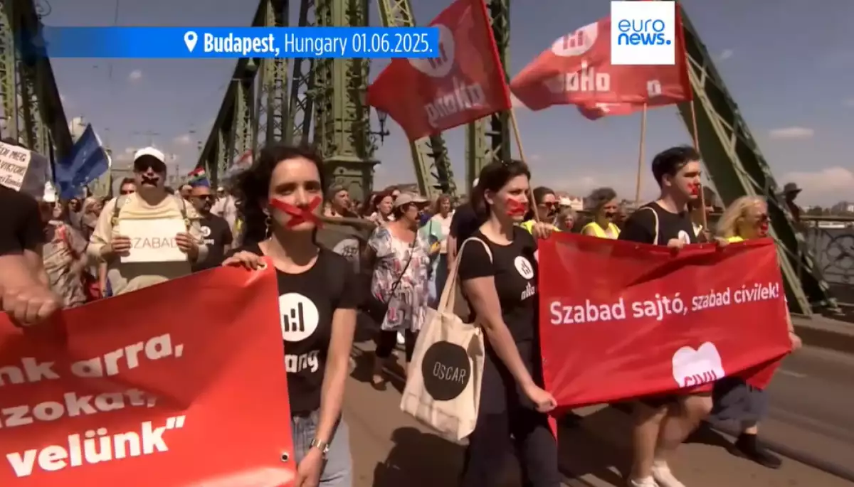 Угорці вийшли на протест проти обмежень для медіа та неурядових організацій у країні