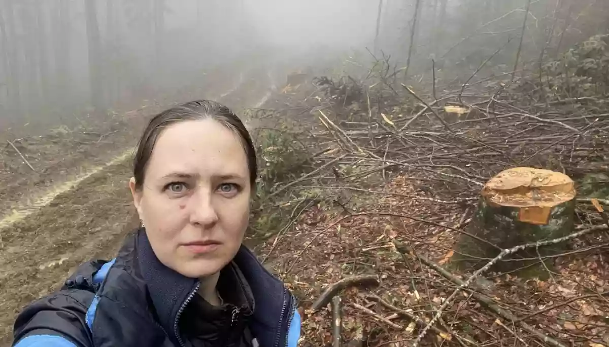Журналістка Олена Мудра заявила про інформаційну атаку через розслідування щодо вітряків у Карпатах