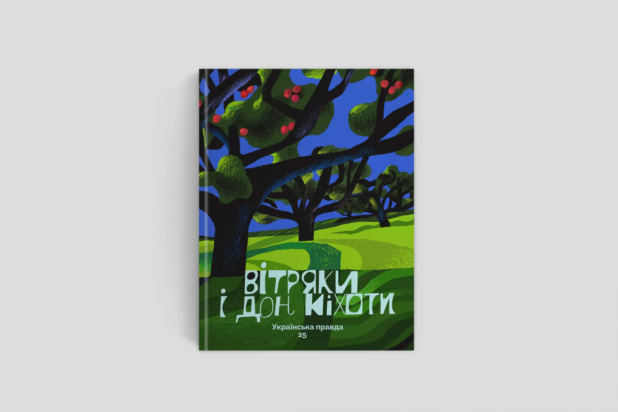 «УП» оголосила передпродаж книги «Вітряки і Дон Кіхоти. Українська правда 25»