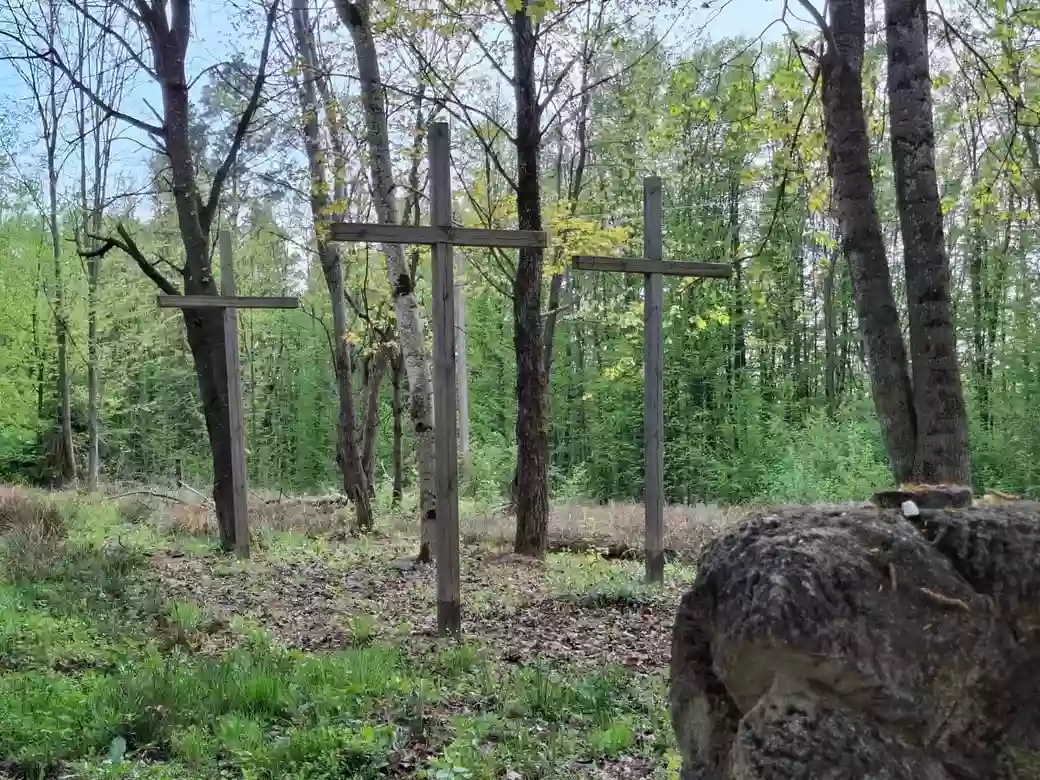 Мінкульт дозволив провести пошукові роботи в Тернопільській та Волинській областях