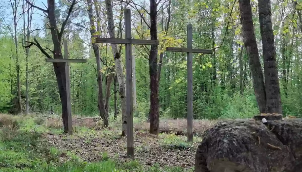 Мінкульт дозволив провести пошукові роботи в Тернопільській та Волинській областях