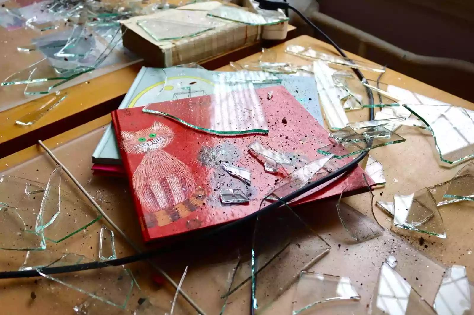 Через уламки російського дрона пошкоджена Національна бібліотека України для дітей