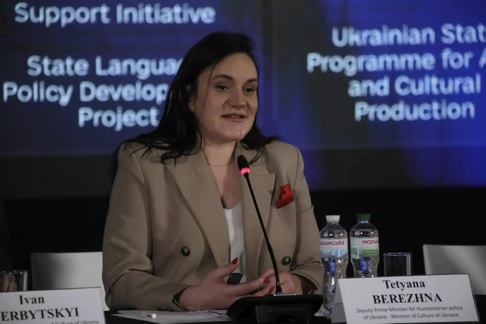 Держкомтелерадіо готує механізм вилучення з обігу російської видавничої продукції, — Бережна