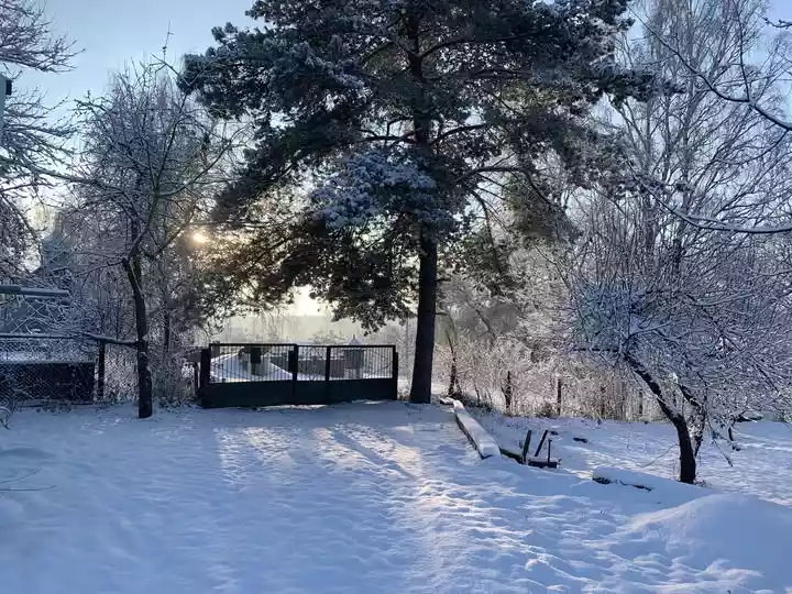 Топ тези, в які вкладається російська пропаганда