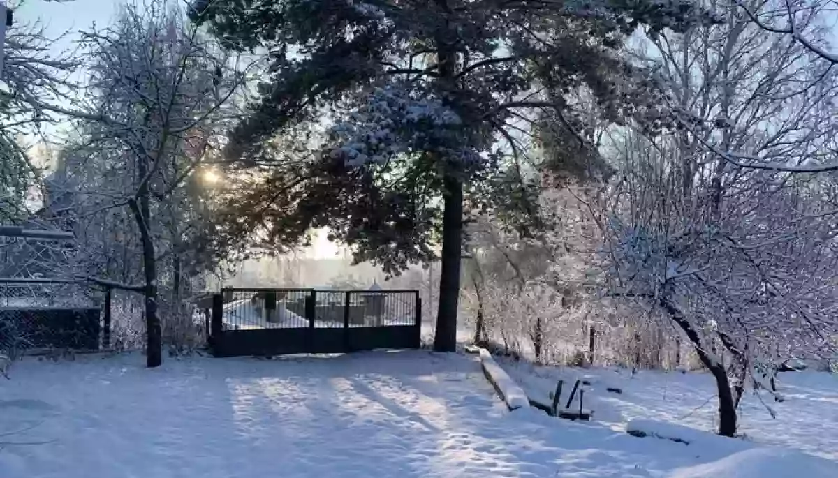 Топ тези, в які вкладається російська пропаганда