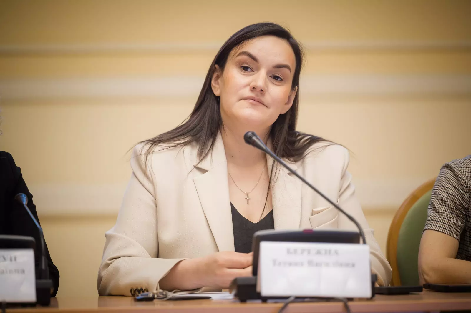 Тетяна Бережна представила першу десятку експертів, що оцінюватимуть проєкти &laquo;Тисячовесни&raquo;