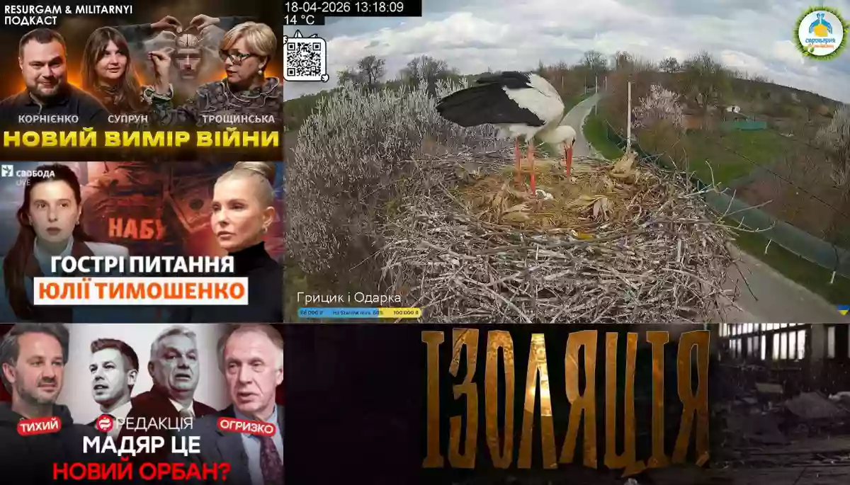 Скандал у гнізді НПП &laquo;Пирятинський&raquo;, угорські вибори, когнітивна війна й програш Тимошенко