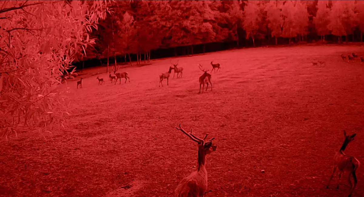 &laquo;Ілюзія тихої ночі&raquo;: 340 ооператорів, одна ніч, нагорода у Швейцарії