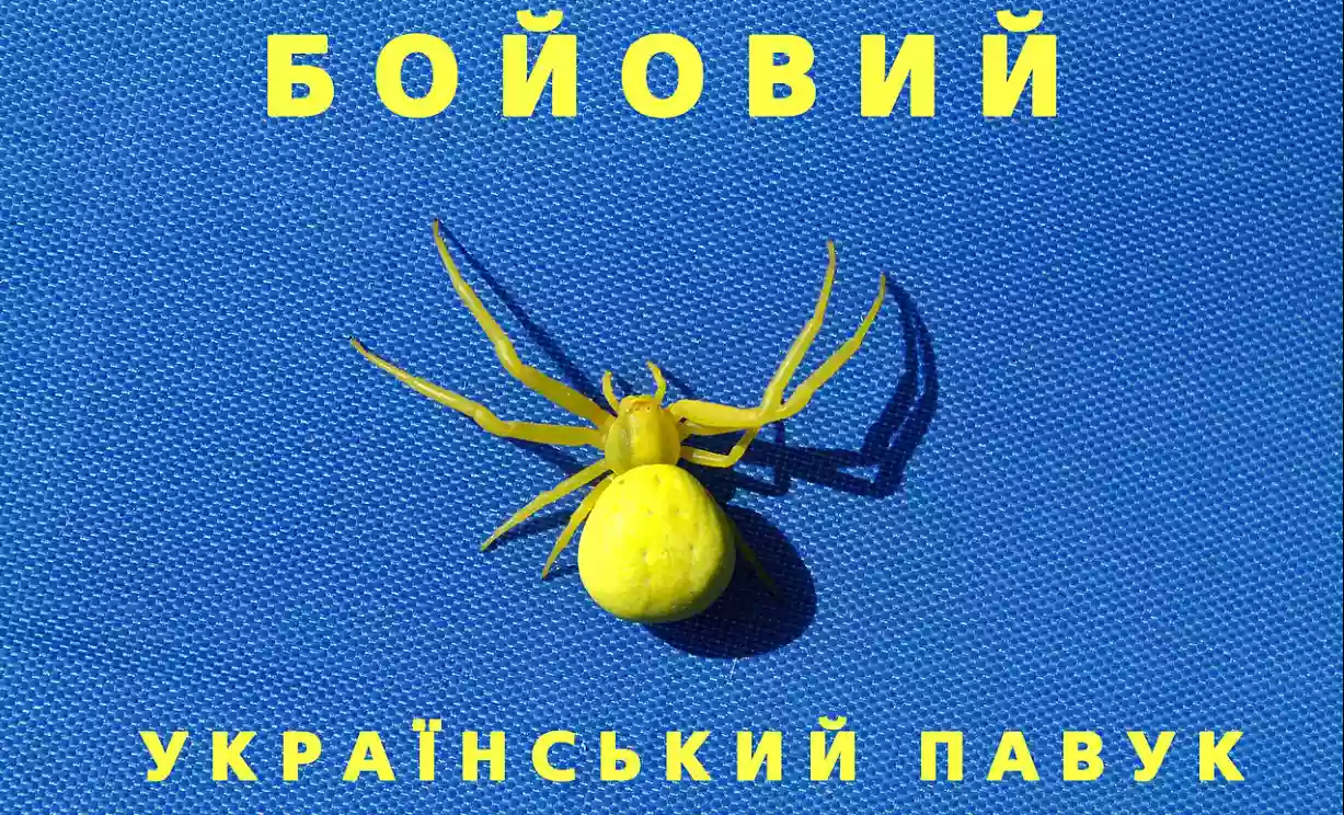 МЗС та МОЗ відреагували на заяву Габбард про біолабораторії  в Україні: Чергові маніпуляції