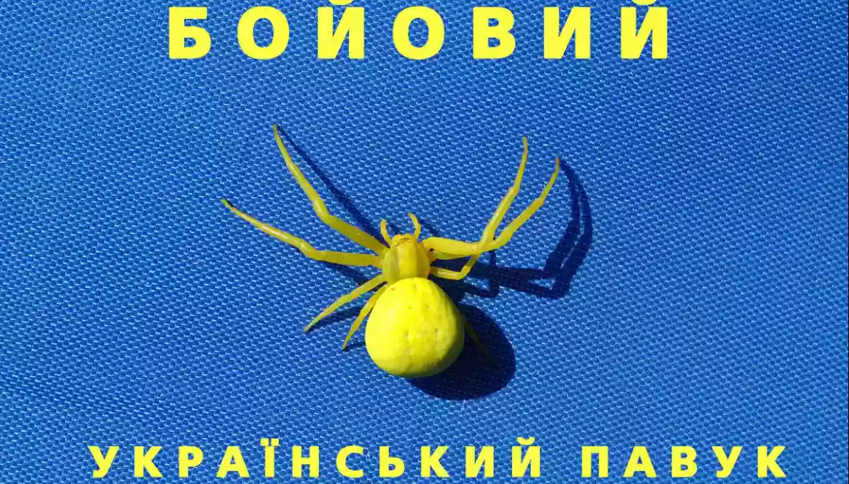 МЗС та МОЗ відреагували на заяву Габбард про біолабораторії  в Україні: Чергові маніпуляції