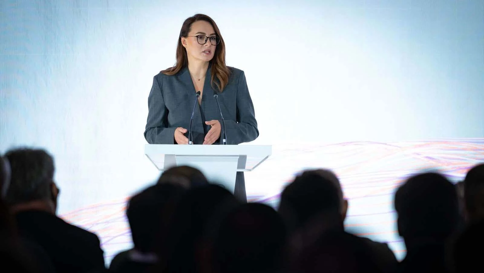 До Ради надійшла заява про відставку премʼєр-міністерки Свириденко
