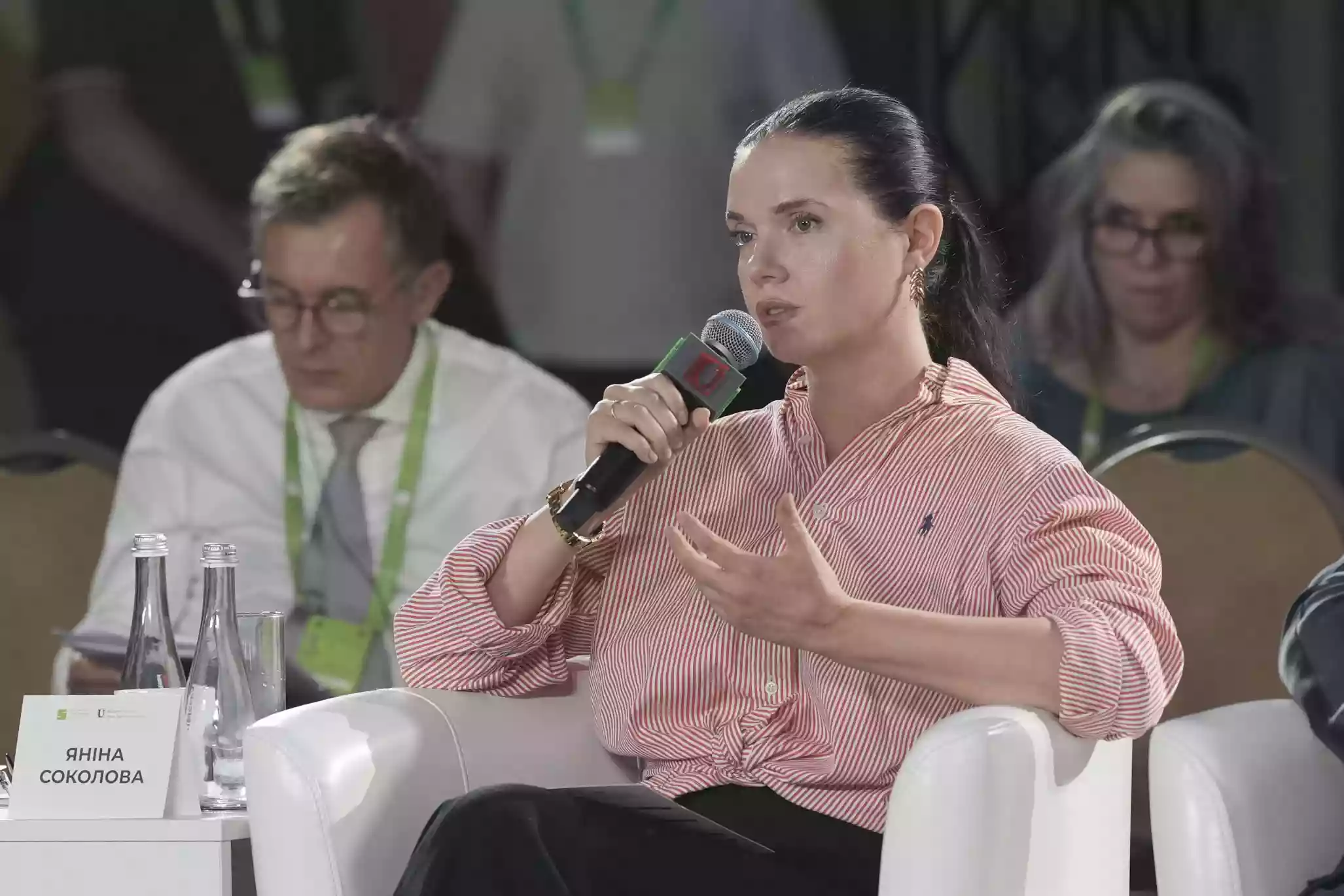 Яніна Соколова: &laquo;Ми маємо будувати єдність навколо безпеки&raquo;