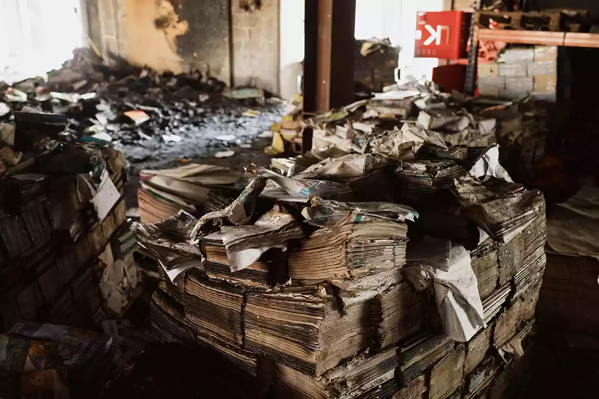 Криза книжкової галузі: втрати, тенденції, стратегії порятунку