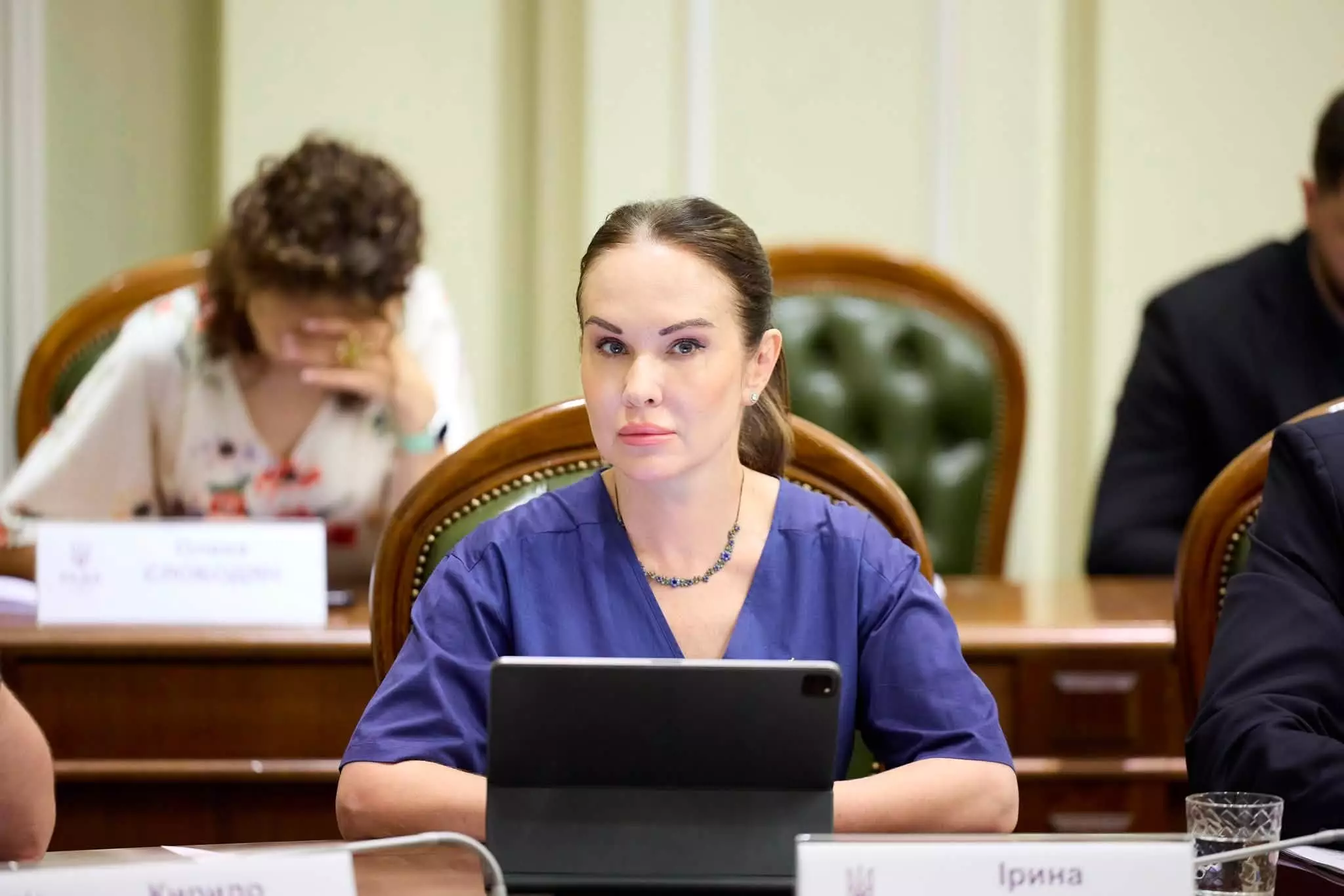 За ексзаступницю ОП Ірину Мудру внесли всю заставу, &mdash; медіа